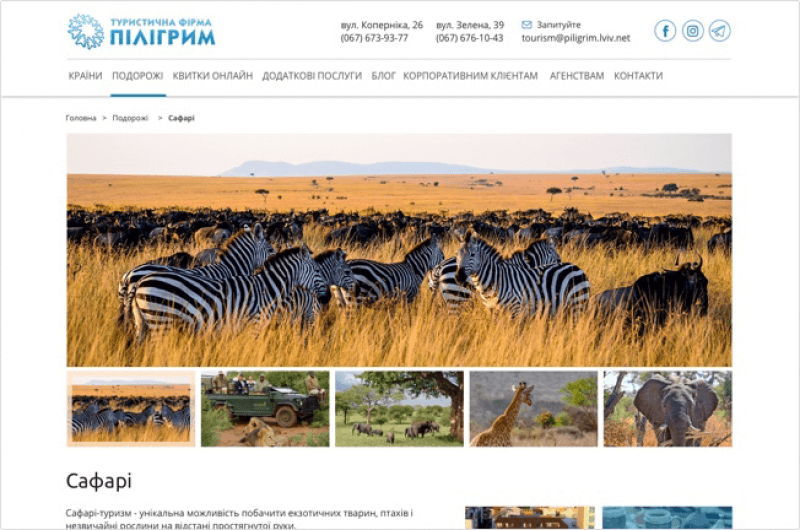 Piligrim Travel Agency