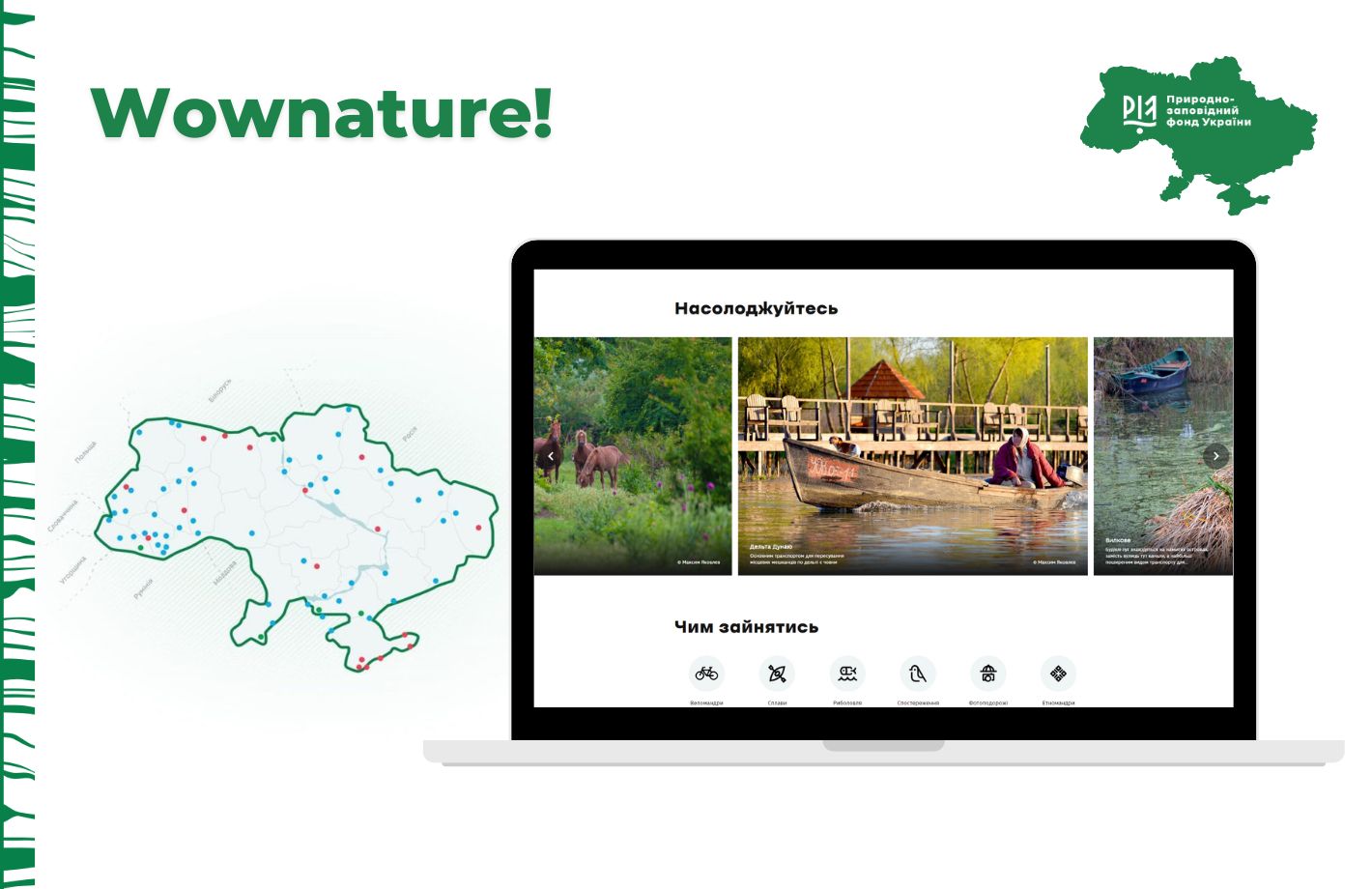 portfolio wownature 5